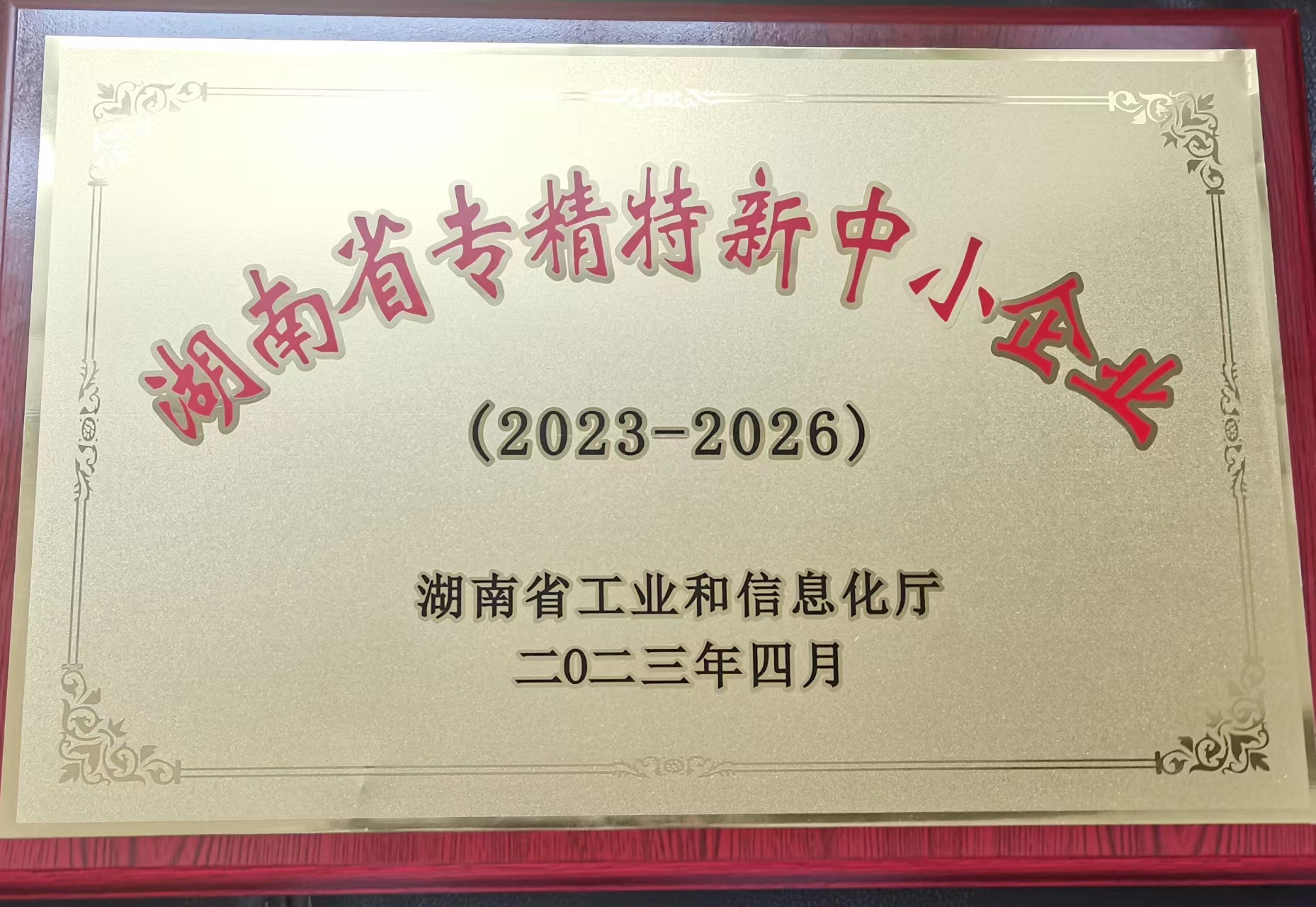 湖南省专精特新中小企业